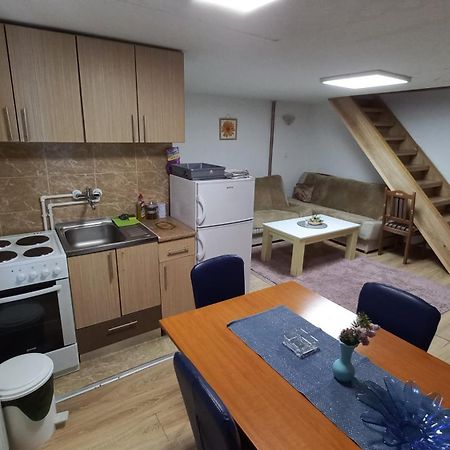 Kopaonik Apartman Aleksandar エクステリア 写真