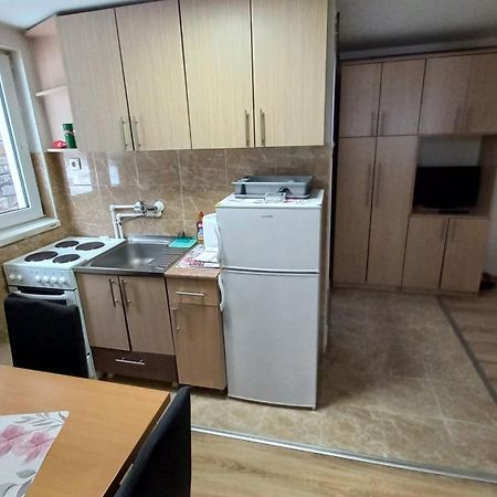 Kopaonik Apartman Aleksandar エクステリア 写真